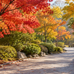 秋の木立と広い遊歩道がある都市公園の朝の風景