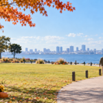 秋の海辺の芝生公園を歩く家族の後ろ姿と控えめなハロウィーン装飾のイメージ